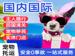 鸡西航空快递国际宠物托运 【国